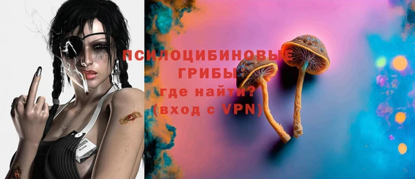 эйфоретик Горняк