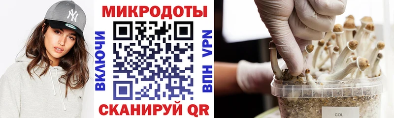 Псилоцибиновые грибы прущие грибы купить наркоту Задонск